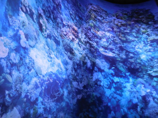 Ich habe mit meinen Detailfotos alles gruselig verwackelt. Sorry !