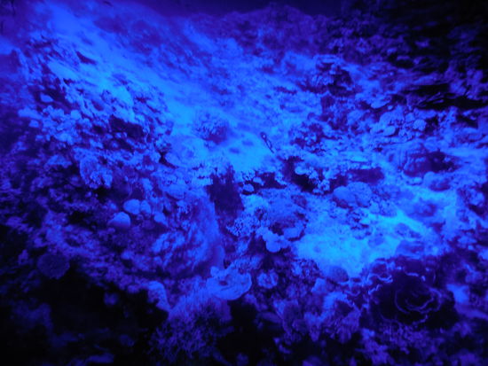 Auf diesem Foto sind z.B. unzählige Kracher zu sehen, was auf dem Foto gar nicht rauskommt. Einfach mal hingehen - das ist und bleibt mein ultimativer Tipp !