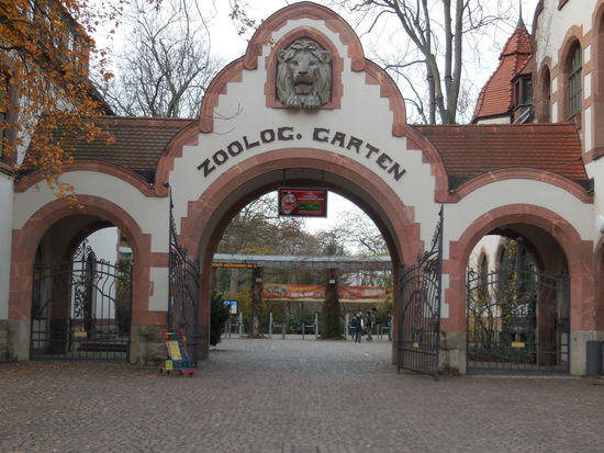 Der Eintritt ist mit ca. 17 EUR recht günstig und beinhaltet auch den Eintritt in das benachbarte Gondwana-Land, was nochmal ein extra Kracher ist.