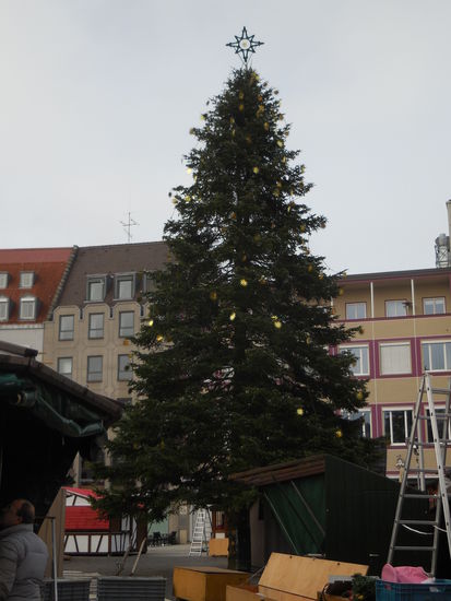 Ein halbwegs aufgezäumter Weihnachtsbaum auf dem Rathausmarkt...