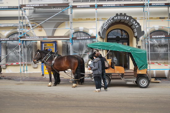 Tolle Pferde und nette Kutscher.