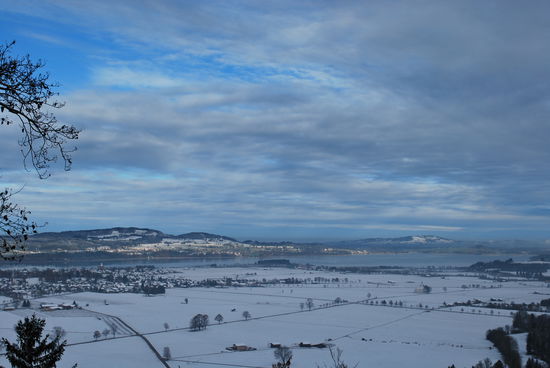 Blick auf den Alpsee