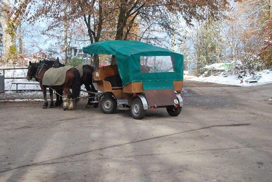 Runter nimmt kaum jemand eine Kutsche - ich auch nicht. Der Spaziergang wieder runter dauert eine Weile, aber ich lasse mir extra Zeit, weil ich noch locker Luft habe, bis zur Führung in Hohenschwangau.