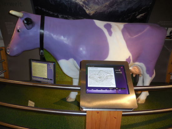 Das ist nicht die Milka-Kuh, es gab schon früher die Vorläufer-Version von ALPIA ! Diese Marke ist allerdings völlig verschwunden, glaube ich. Habe ich jedenfalls nie wieder gesehen.