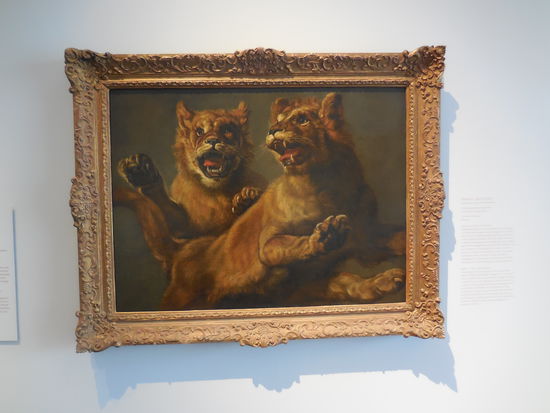 Dieses Bild fand ich toll ! Was soll das für eine Katze sein ? Es ist eine Mischung aus Löwenfell, Luchsohren, Tigergesicht. Ein Löluti ??? 