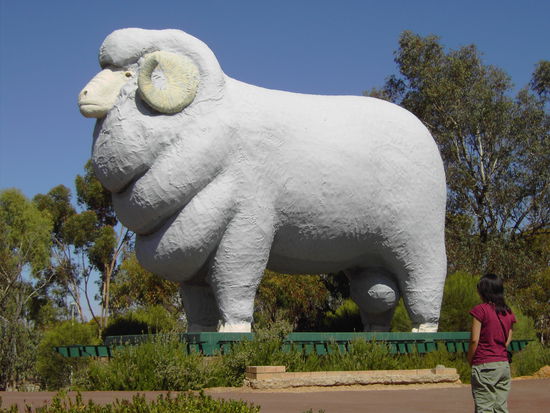 Giant Ram