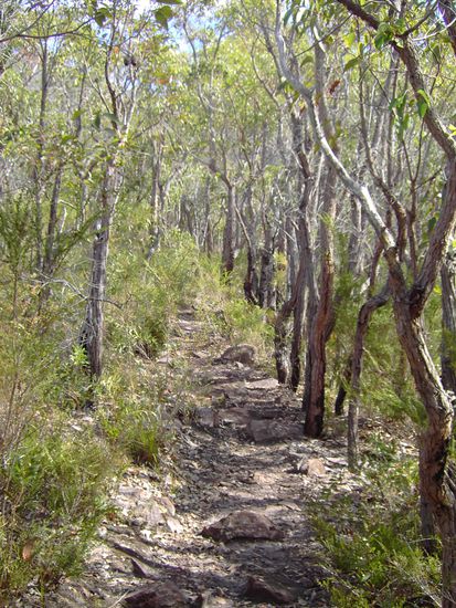 Der Anfang war noch recht leicht