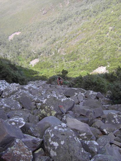 Aber auch nur der Anfang