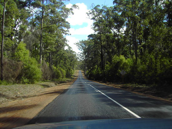 Auf dem Weg nach Windy Harbor