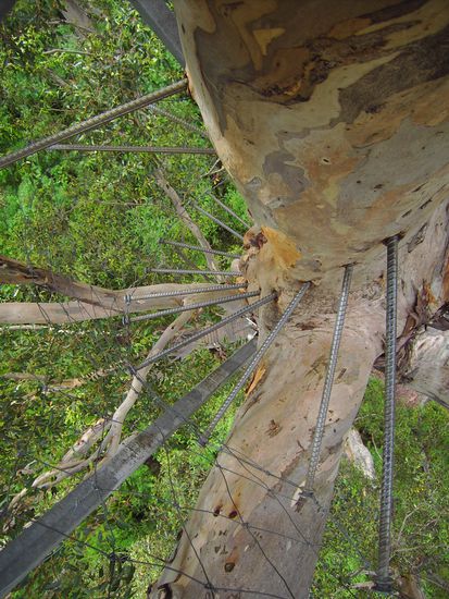 Geht weit nach unten