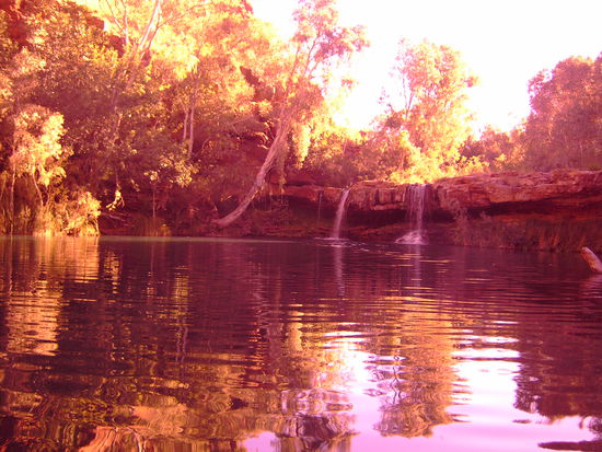 Fern Pool mit rotem Farbfilter