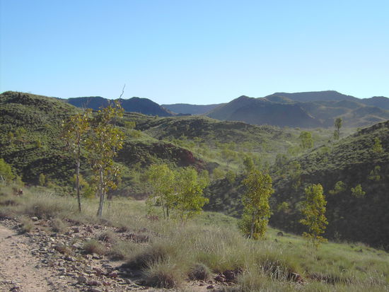Da hätte man auch Herr der Ringe drehen können