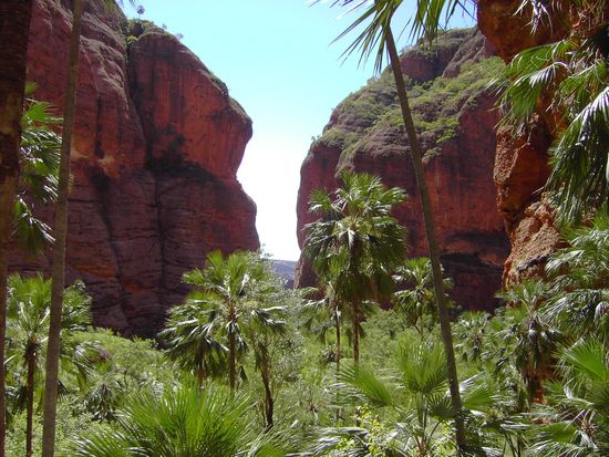 Mini Palm Gorge - Heißt so auch wenn ich die Palmen nicht so klein fand.