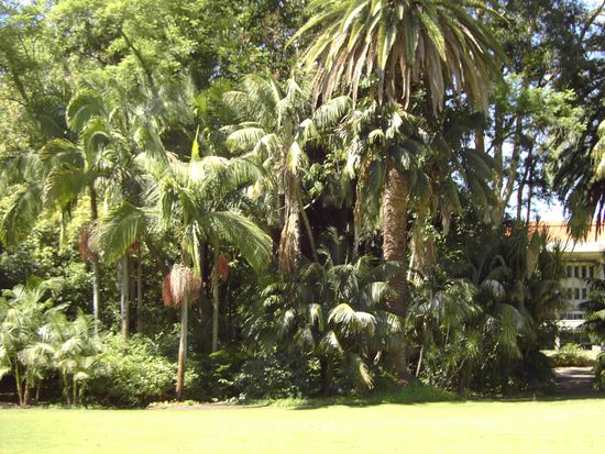 Kleiner Dschungel auf dem Campus