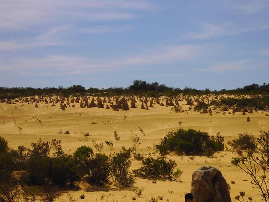 Pinnacles desert I