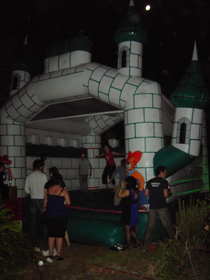 Bouncy Castle Party (2)