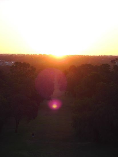 Sunset im Kings Park