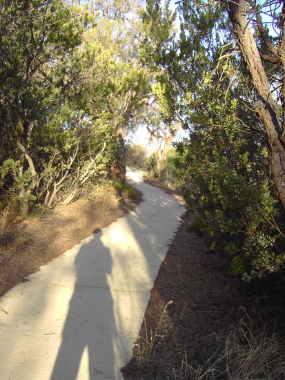 Nochmal der Kings Park und ein Schatten von mir