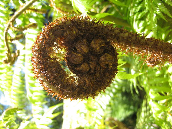 vorher (drehen klappt mal wieder nicht!)