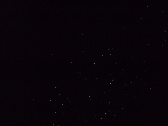 in Wahrheit leuchten da viiiiiiiiiieeeeel mehr Gluehwuermchen