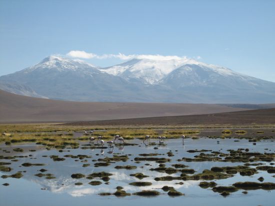 oh, wie schoen ist Panama... eh Chile!