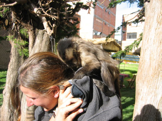 Hm, was hast du denn da Leckeres im Ohr?