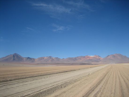 Wueste Salvador Dalí