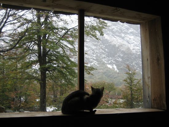 Und ein Kätzchen hat auch auf uns gewartet