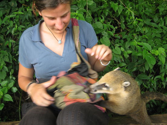 Aber Vorsicht, sonst ist die Tasche weg!