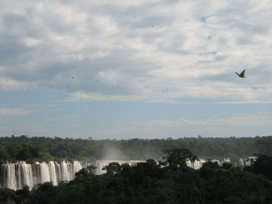 Scharen von Vögel fliegen über und durch die Wasserfälle