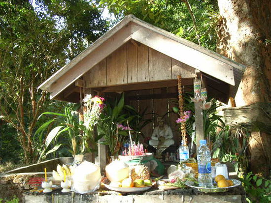 auch noch aus thailand. jeden tag werden fuer die buddhastatuen getraenke und esswaren geopfert. tja, religionen und ihre braeuche und rituale.