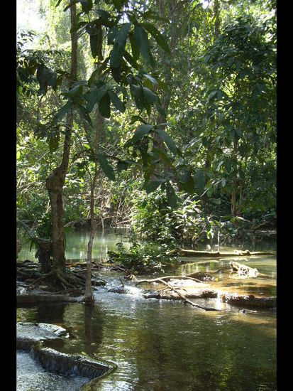 kwang xi waterfall in luang prabang.
