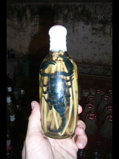 schnaps mit skorpion, soll sehr gesund und bekoemmlich sein. ich habe ja schon vieles probiert, doch diesen zaubertrank noch nicht... doch falls irgendwie moeglich werde ich so einen zaubertrank sicher mit nach hause bringen.