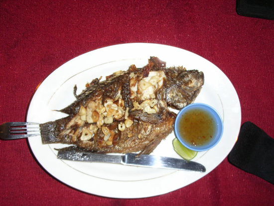 frischer fisch fuer den fischer...