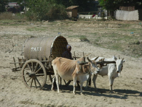 taxi der etwas anderen art in mingun.
