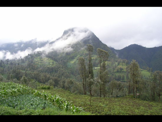 impressionen auf der fahrt nach cemoro lawang.
