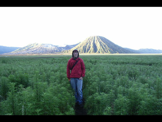 als touristen wird einem fuer die kleine wanderung zum gunung bromo auch ein pferderitt angeboten.