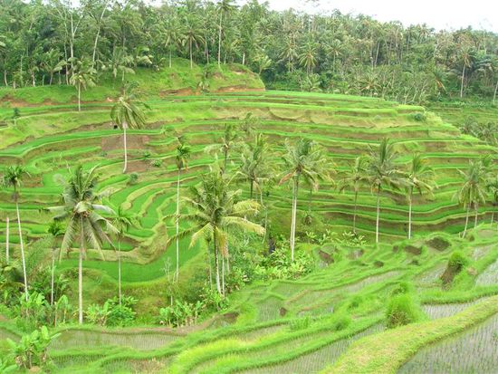 "wow" habe ich gesagt und gestaunt als sich meinen augen dieser anblick praesentierte.