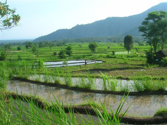 und weil es so schoen ist, gerade noch einmal 