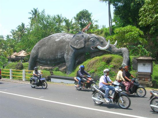 motorraeder sind der absolute leader auf bali. fahhraeder sind praktisch nur noch eine angelegenheit fuer die touristen.
