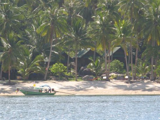 palmen, strand, sonnenschein und eine faszinierende unterwasserwelt. einfach perfekt fuer den abschluss meiner reise.