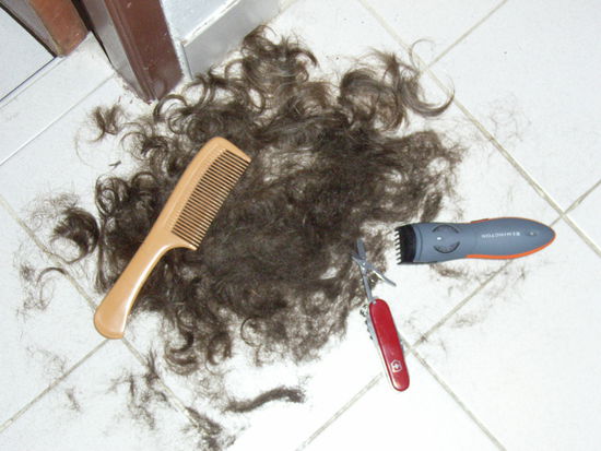 vous n'en croirez pas vos yeux - mes cheveux!!!!! cut with swiss army knife and shaver....