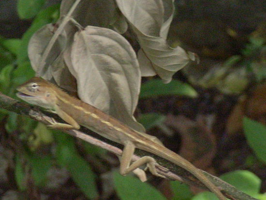 oh nein, sogar zum zweiten. so wichtig war dieses bild jetzt auch wieder nicht.