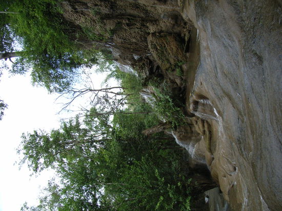 und wieder einmal verkehrt. it's a shama, doch wenn ihr wuesstet wie lang das raufladen gebraucht hat, dann wuerdet ihr verstehen.