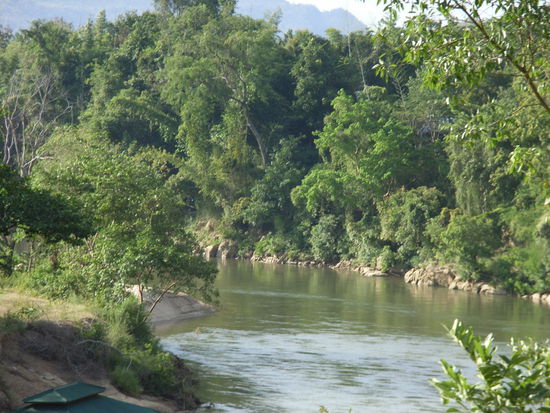facetten des gruens...