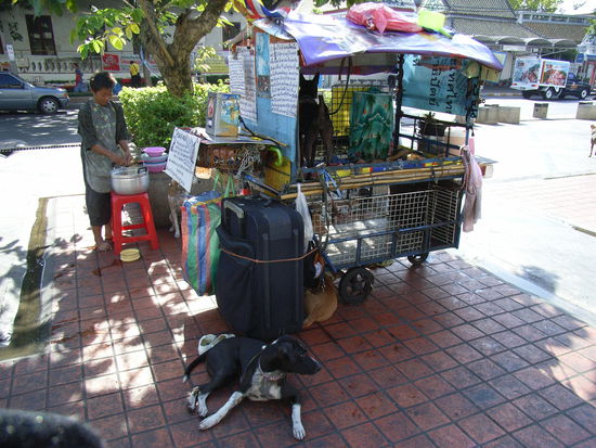 das war in bangkok, waehrend meinem eintaegigen kurzaufenthalt. diese nette dame, verkoestigt einige der unzaehligen streunenden hunde. ich habe ein kleinese filmchen gemacht, doch damit muss ich wohl warten, bis ich wieder zurueck in der schweiz bin...