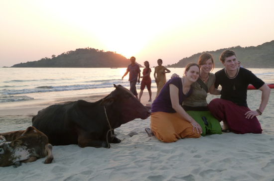 Neben den heiligen Kuehen am Strand von Palolem in Goa