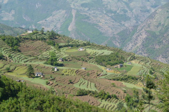 Auf diesen Terrassen, welche von Menschenhand erbaut wurden, pfanzen die Bergbauern ihre Getreidesorten an. Und das nicht selten auf ueber 2000 Metern ueber Meer.