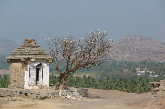 pure Idylle- und das in Indien
