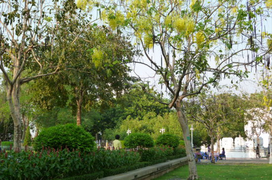 4. Man koennte in einem Park relaxen und ein Buch lesen... (Bangkok hat nicht nur Hochhaeuser sondern auch huebsche Parks)